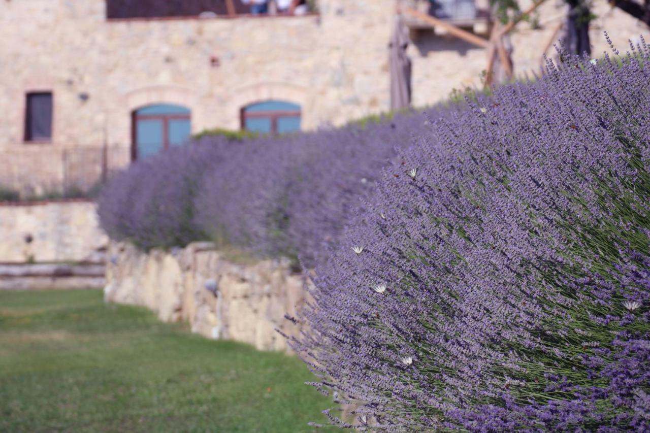 Spao Borgo San Pietro Aquaeortus Trevinano Exteriér fotografie